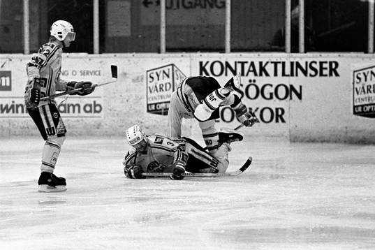 Bläddra bland fler bilder av Ishockey, Sundsvall - Rögle, 2-8