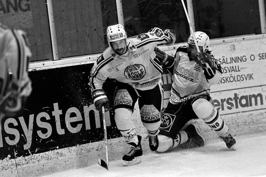Stefan Hedlund, Rögle