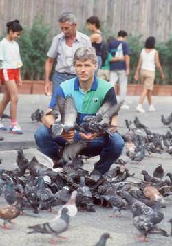 Glenn Hysén i Florens, Italien