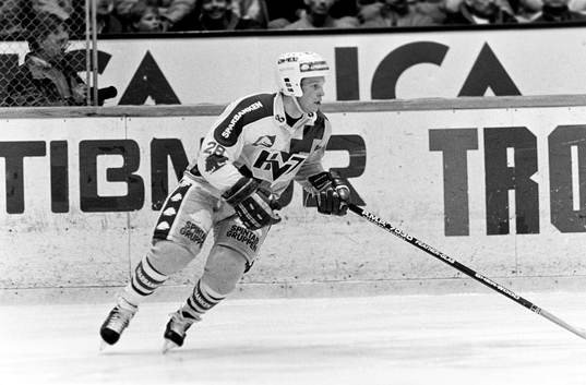 Reijo Ruotsalainen, HV71
