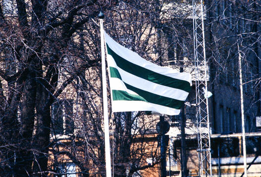 Hammarbyflagga, fana
