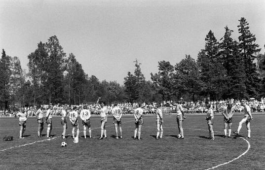 Sverige, VM-laget 74, 1974