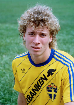 Johnny Ekström, Sverige