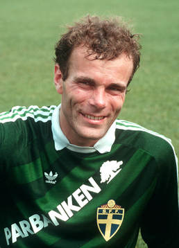 Jan Möller, Sverige