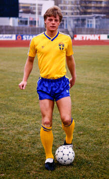 Stefan Schwarz