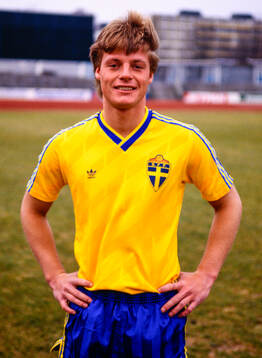 Stefan Schwarz