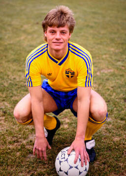 Stefan Schwarz