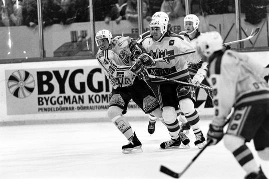 Roger Hansson, Rögle hakas