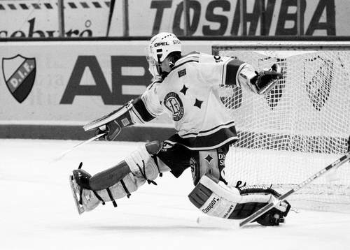 Peter Åslin, målvakt i Leksand