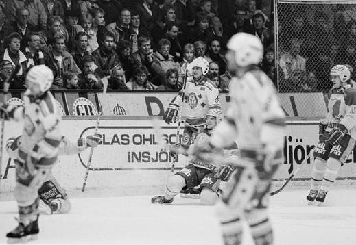 Mikael Johansson, Djurgården jublar