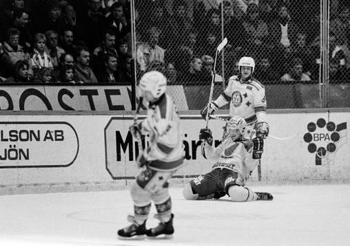 Mikael Johansson, Djurgården jublar