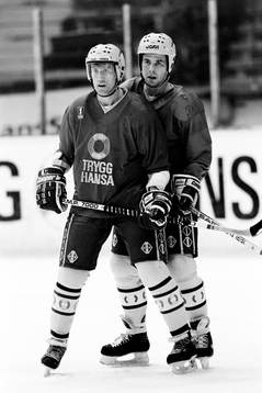 Börje Salming och Ulf Dahlén, Sverige