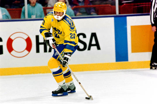 Bo Berglund, Sverige