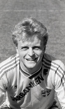 Jonas Thern, Sverige