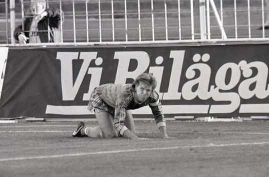 Roland Nilsson, Sverige på knä