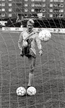 Jan Hellström, Sverige