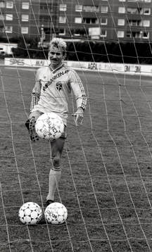 Jan Hellström, Sverige