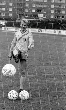 Jan Hellström, Sverige