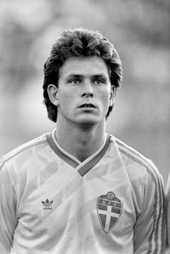 Pontus Kåmark, Sverige