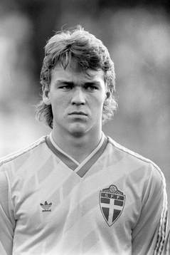 Magnus Erlingmark, Sverige