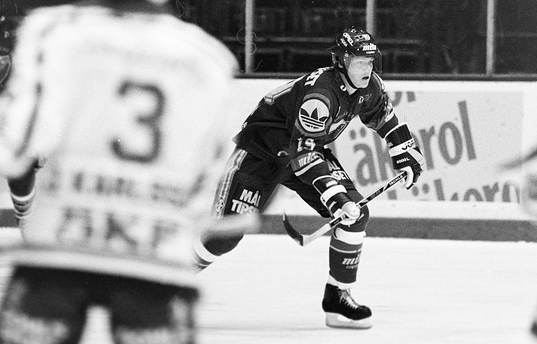 Mats Sundin, Djurgården