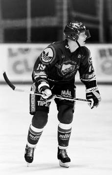 Mats Sundin, Djurgården