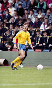 Roger Ljung, Sverige