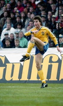 Roger Ljung, Sverige