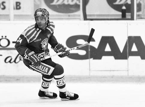Patrik Erickson, Brynäs