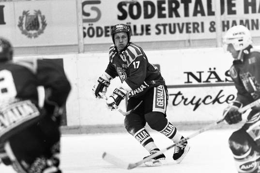 Nikolaj Davydkin, Brynäs
