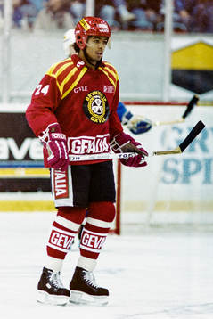 Patrik Erickson, Brynäs