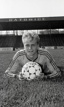Jonas Thern, Sverige