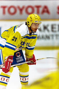 Patrik Erickson, Sverige