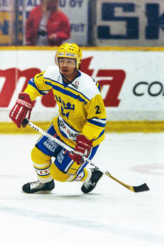 Patrik Erickson, Sverige