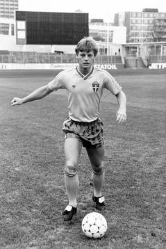 Stefan Schwarz, Sverige