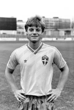 Stefan Schwarz, Sverige