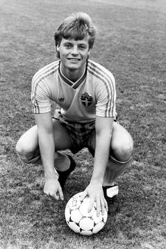 Stefan Schwarz, Sverige