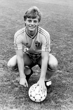 Stefan Schwarz, Sverige