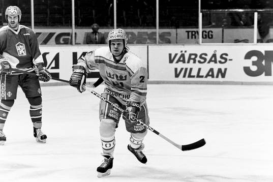 Anders Huss, Sverige