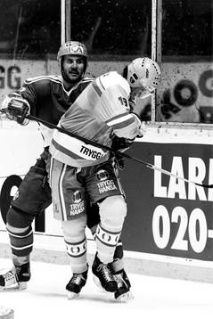 Magnus Roupé, Sverige