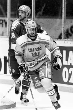 Magnus Roupé, Sverige