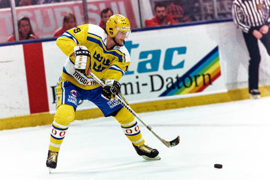 Magnus Roupé, Sverige