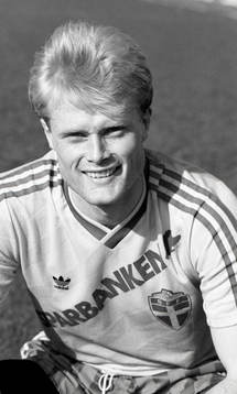 Peter Larsson, Sverige