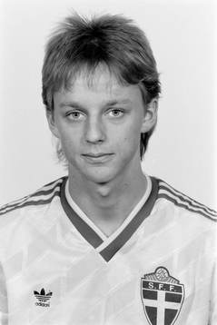 Mikael Andersson, Sverige