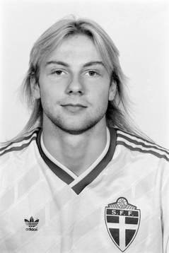 Håkan Mild, Sverige
