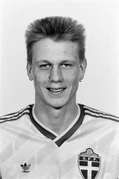 Martin Hamrin, Sverige