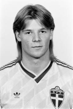 Johan Ragnell, Sverige