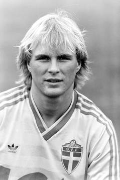 Peter Wibrån, Sverige