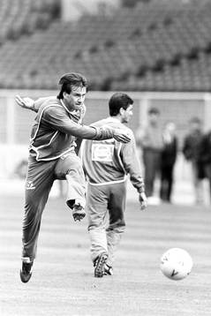 Dunga