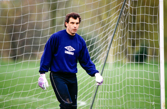 Peter Shilton. Football, FIFA World Cup 1990, England,